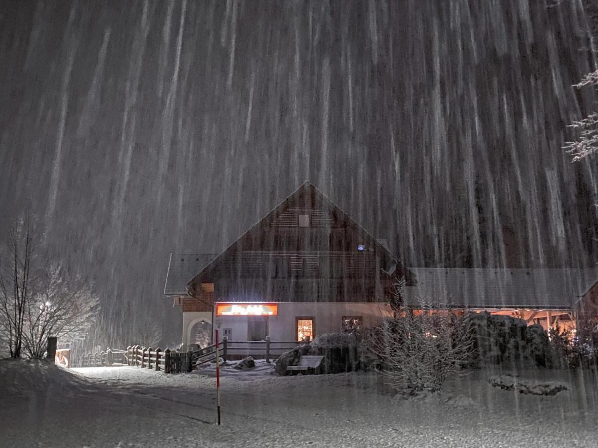 Hisa Erlah Hotel Bohinj Exterior photo